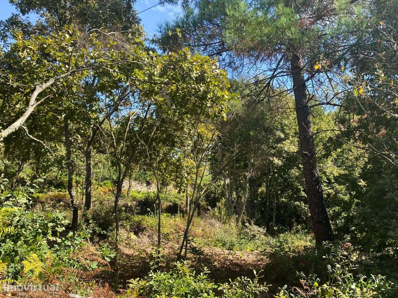 Terreno - Regada Velha, - Grande imagem: 2/33