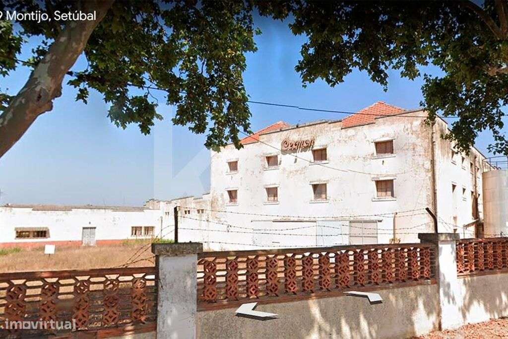 Terreno misto com 9 ha no Montijo a 4,4 km da BA6 - Grande imagem: 2/9