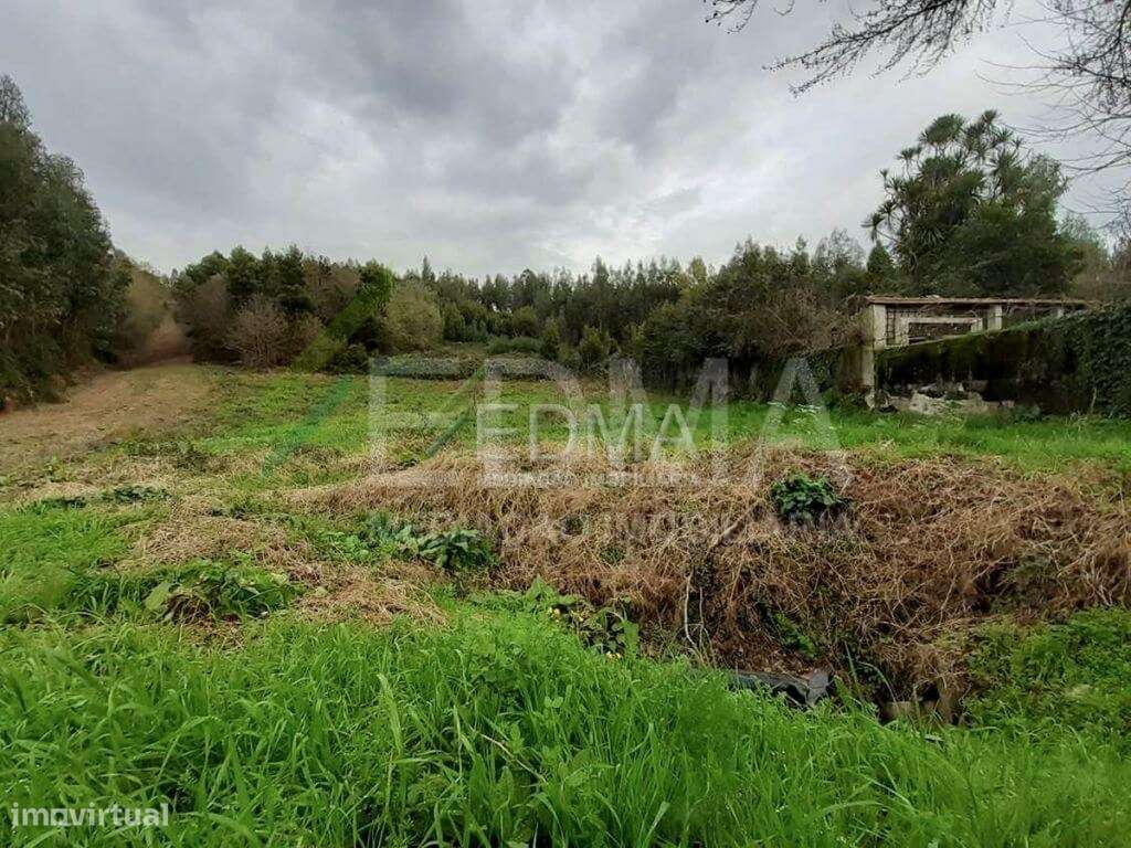 Terreno com ruína, Requião - Grande imagem: 3/3