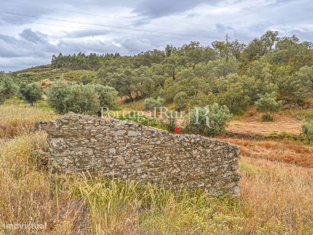 Terreno de 34.220m2 com ruínas no Fratel - Grande imagem: 5/23