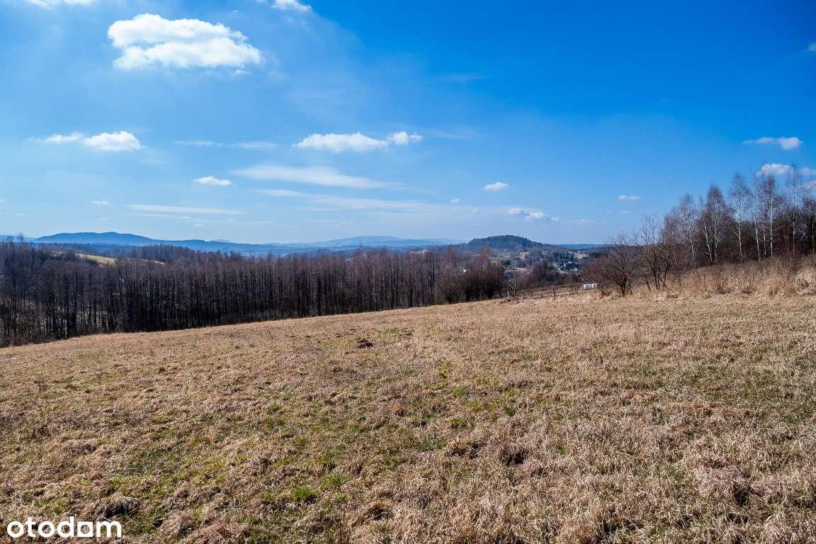 PnB, media, PUM 4864 m² – 1,59ha pod 37 domów, Przytkowice, na wzgórzu-13