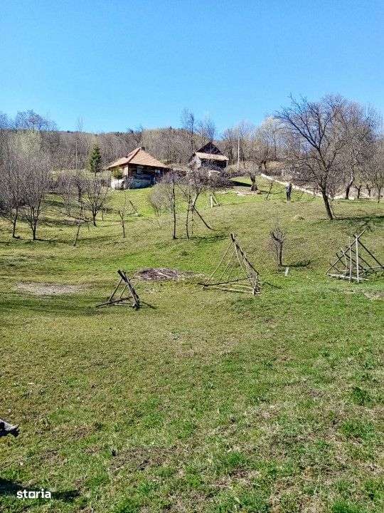 Teren retras panoramic Valea Doftanei 1350 mp panta lina, cu utilitati-4
