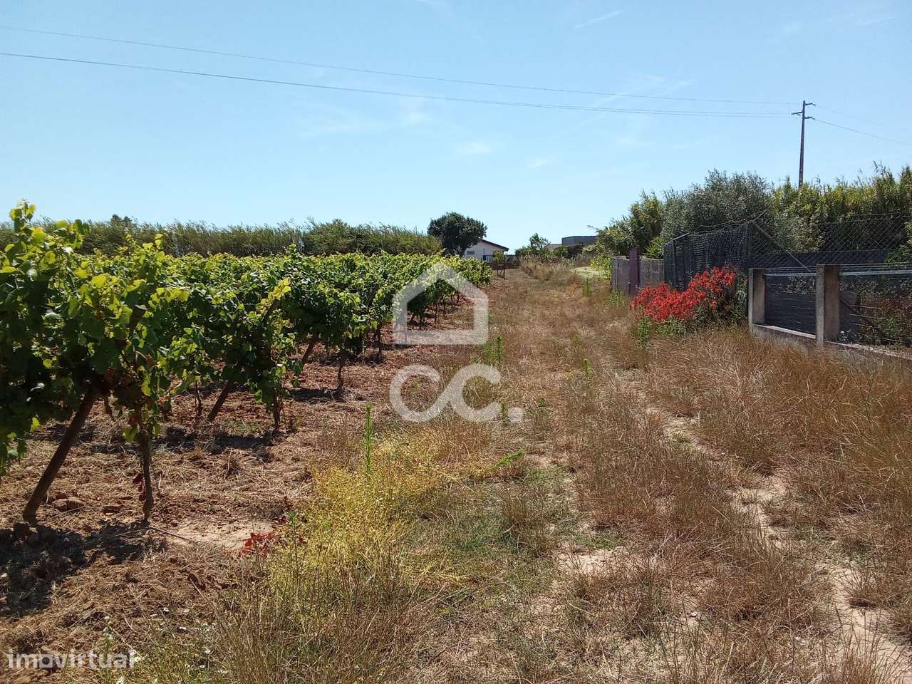 Terreno Urbanizável com 1.560 m², em Barrocalvo, Bombarral-10