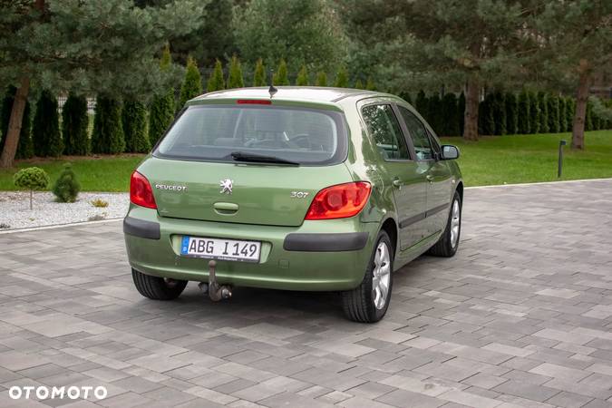 Peugeot 307 - 21