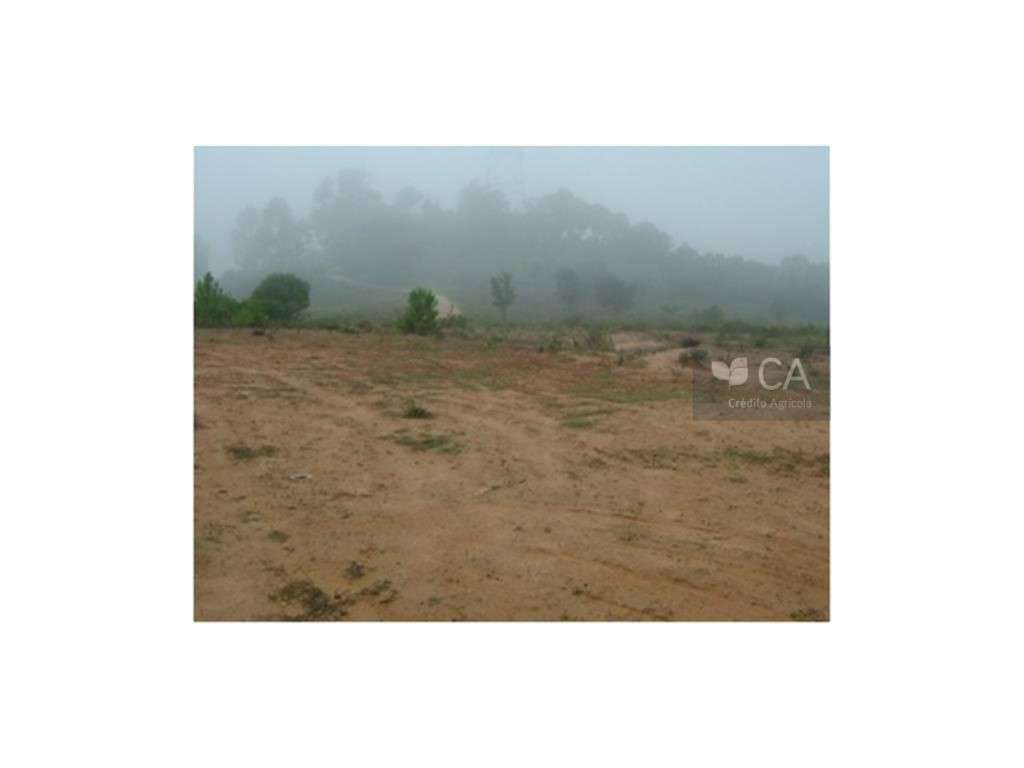 Prédio Rústico Urbanizável - Grande imagem: 3/4