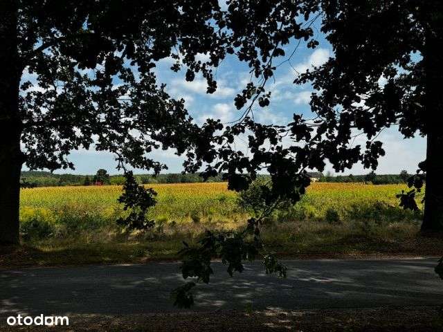 Działki budowlane - Pełny obrazek: 4/6