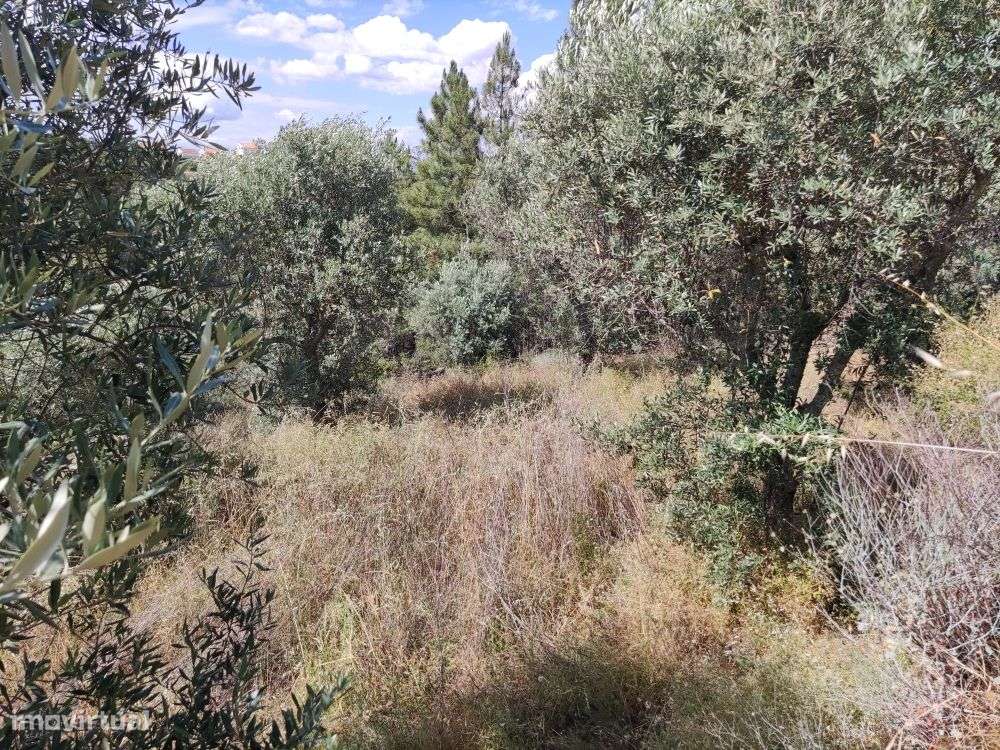 Quintinha - Grande imagem: 4/27