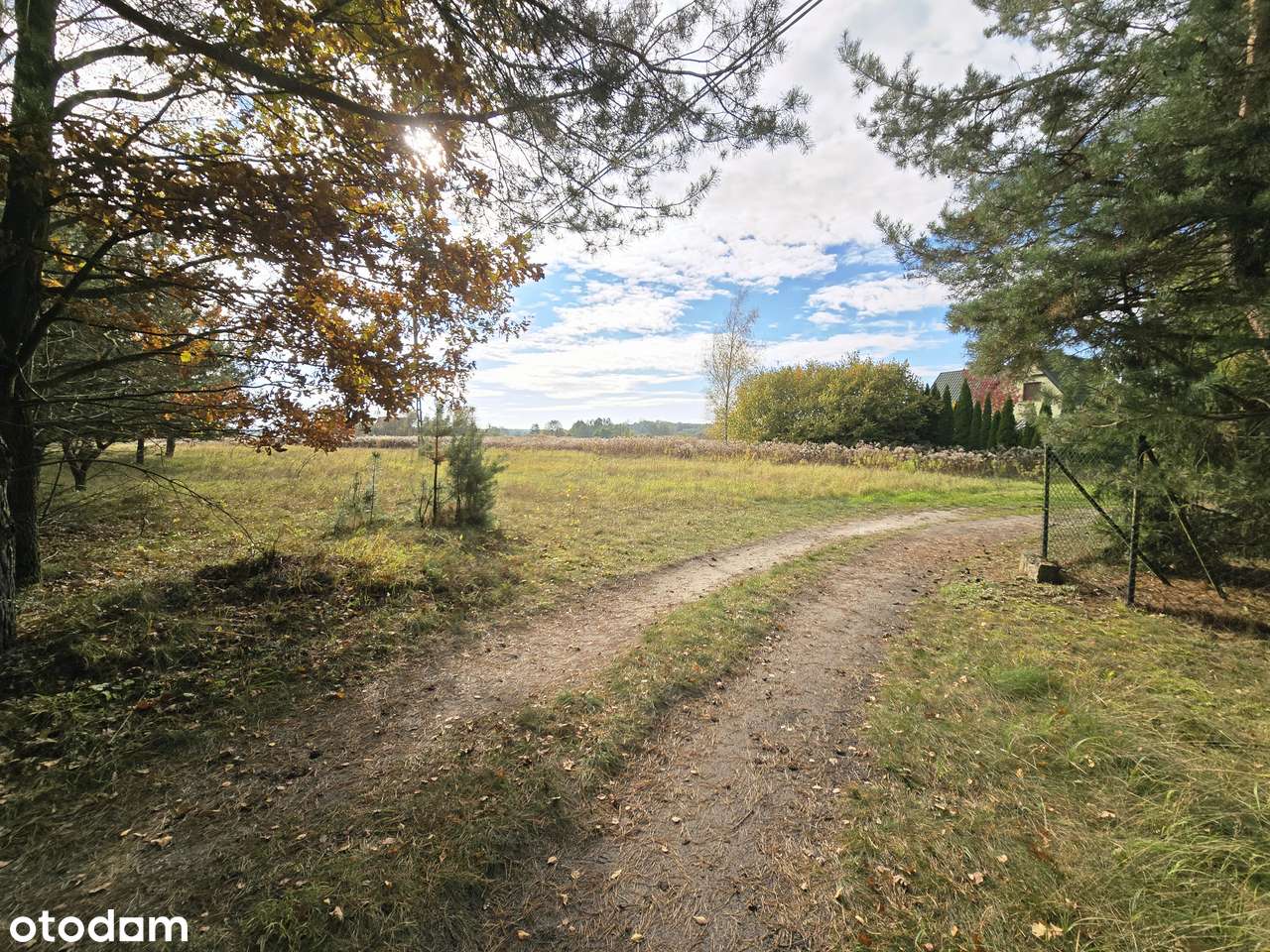 Piękna działka w Rybojadach | Zaciszne spokojne miejsce-5