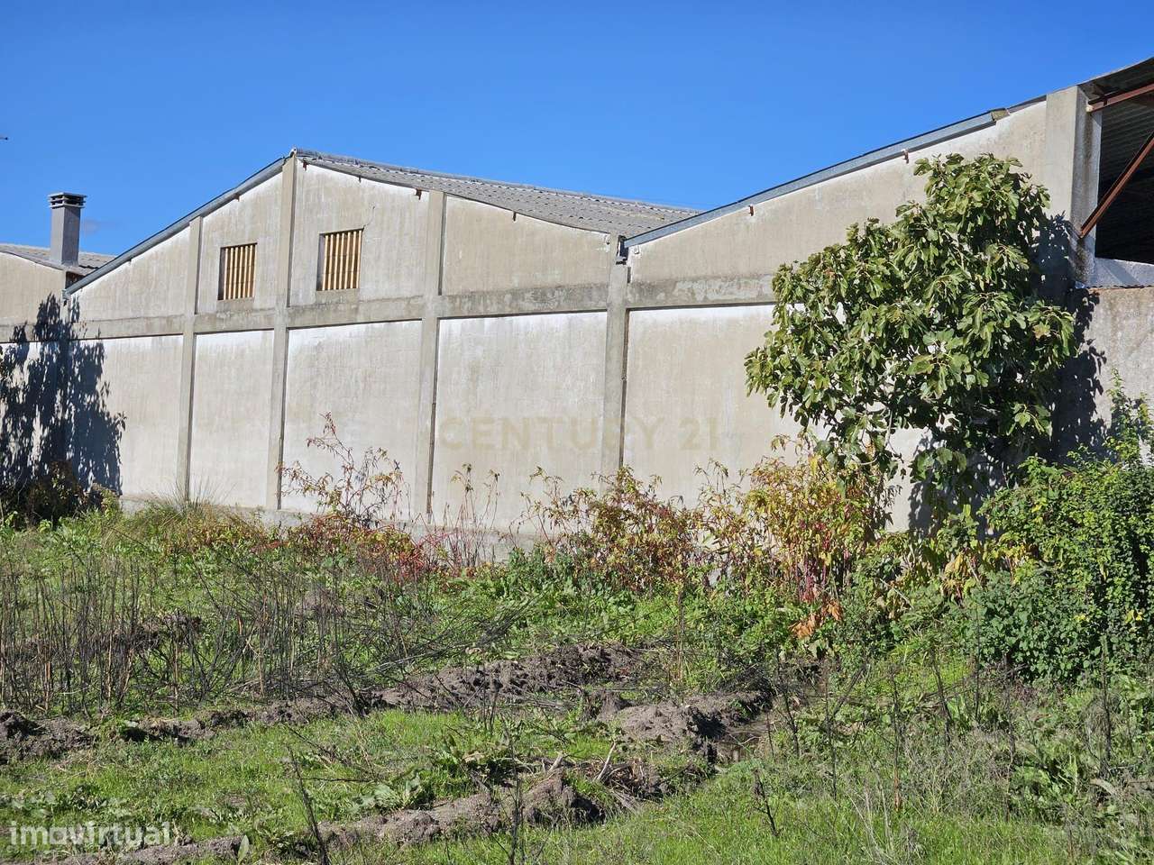 Terreno Rústico em Alcains: Vista Panorâmica e Excelente Localização - Grande imagem: 5/12