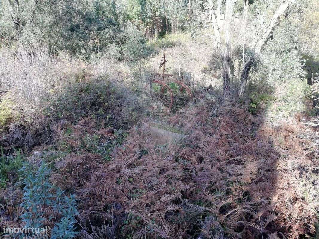 Terreno  para venda - Grande imagem: 4/6