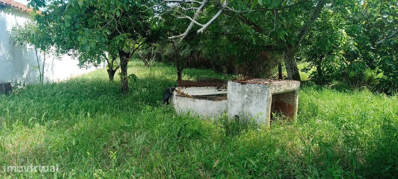 Quintinha em Elvas - Grande imagem: 5/27