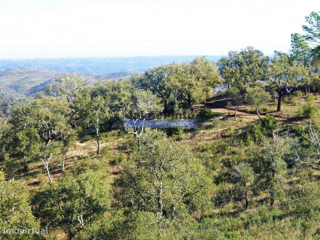 170HA com cortiça e casa na Serra do Caldeirão. Portugal. Alentejo,... - Grande imagem: 4/9