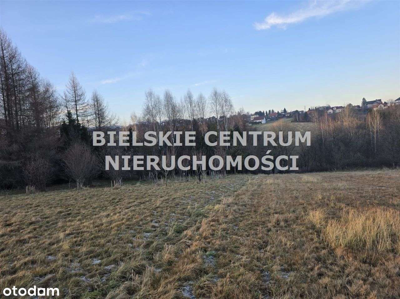 Działka, 10 300 m², Lipowa-7