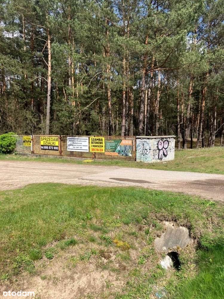 Okazja ! Pilnie sprzedam dwie działki leśne , Popowo (okolice Serocka) - Pełny obrazek: 4/8