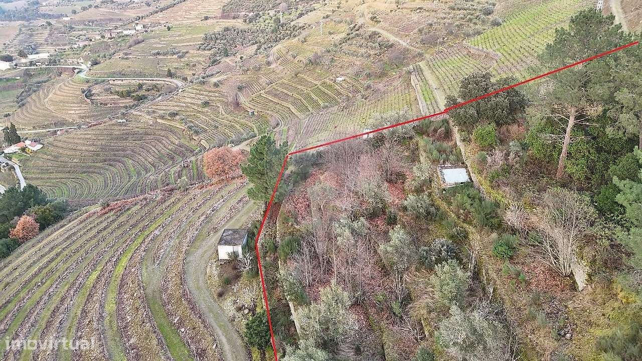 Terreno  para venda-8