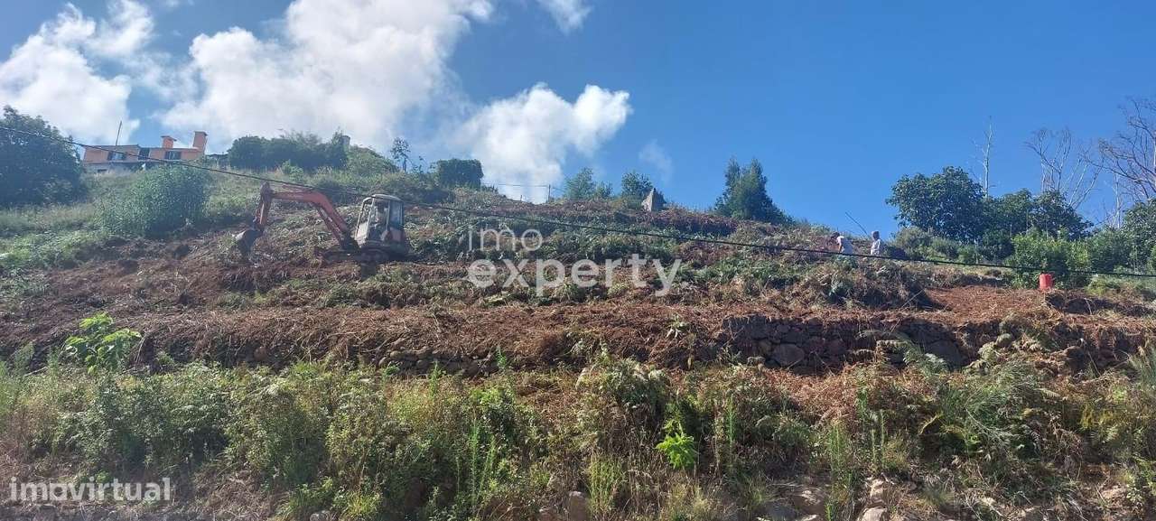 Terreno para construção em Lombada, Santa Cruz - Grande imagem: 3/3