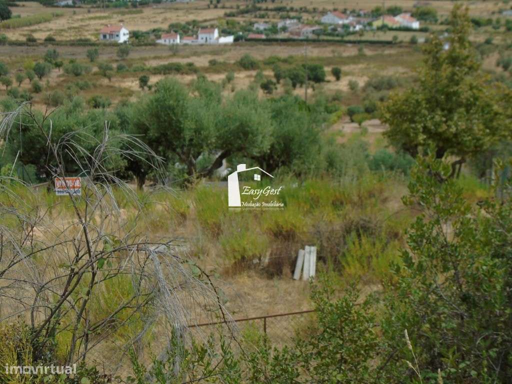 Lote de Moradia para construção em São Lourenço - Abrantes - Grande imagem: 4/7