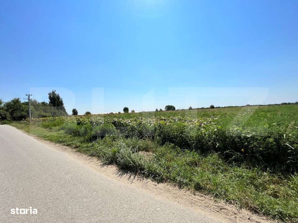 Teren 7.200 mp cu toate utilitatile la front asfaltat, Man. Jitianu, B - Imagine principală: 3/3