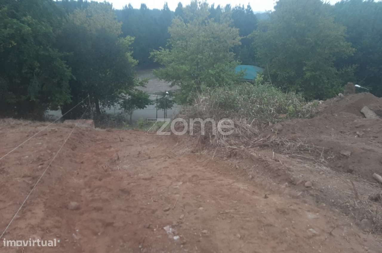 Terreno Rústico em Travassô - Grande imagem: 2/23