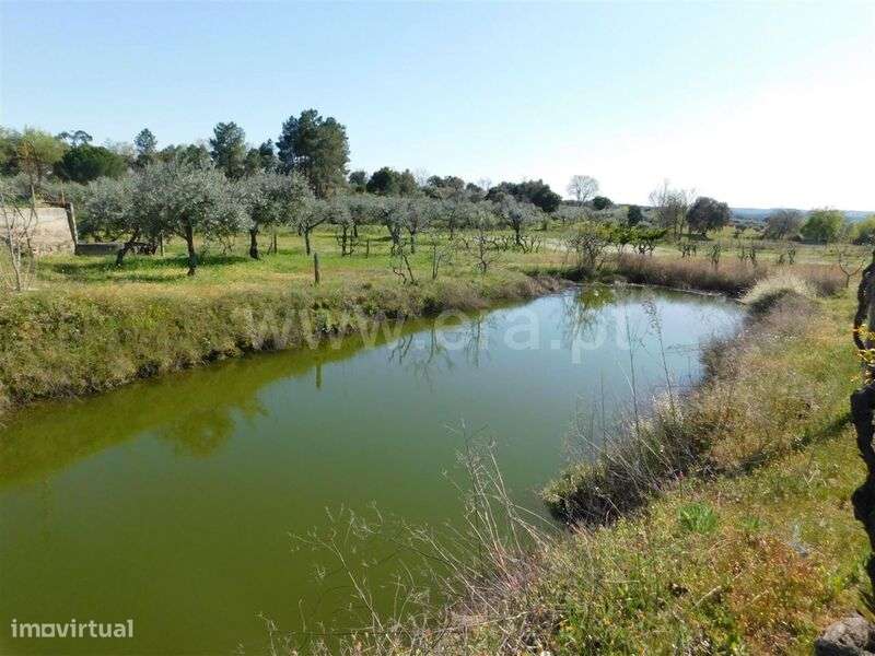 Quintinha / Fundão, Orca - Grande imagem: 2/19