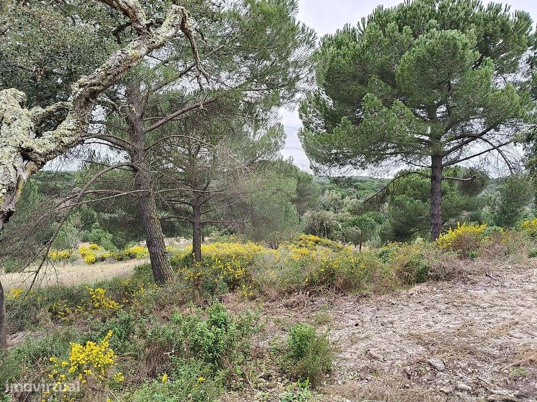 Quinta  para venda - Grande imagem: 2/17