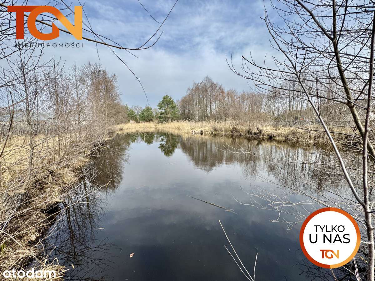 Duża działka na Teofilowie - Pełny obrazek: 5/7