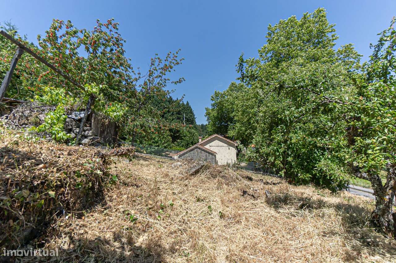 Quinta 7.438 m² em Lamego, Moradia em Pedra, Investimento de Futuro-17