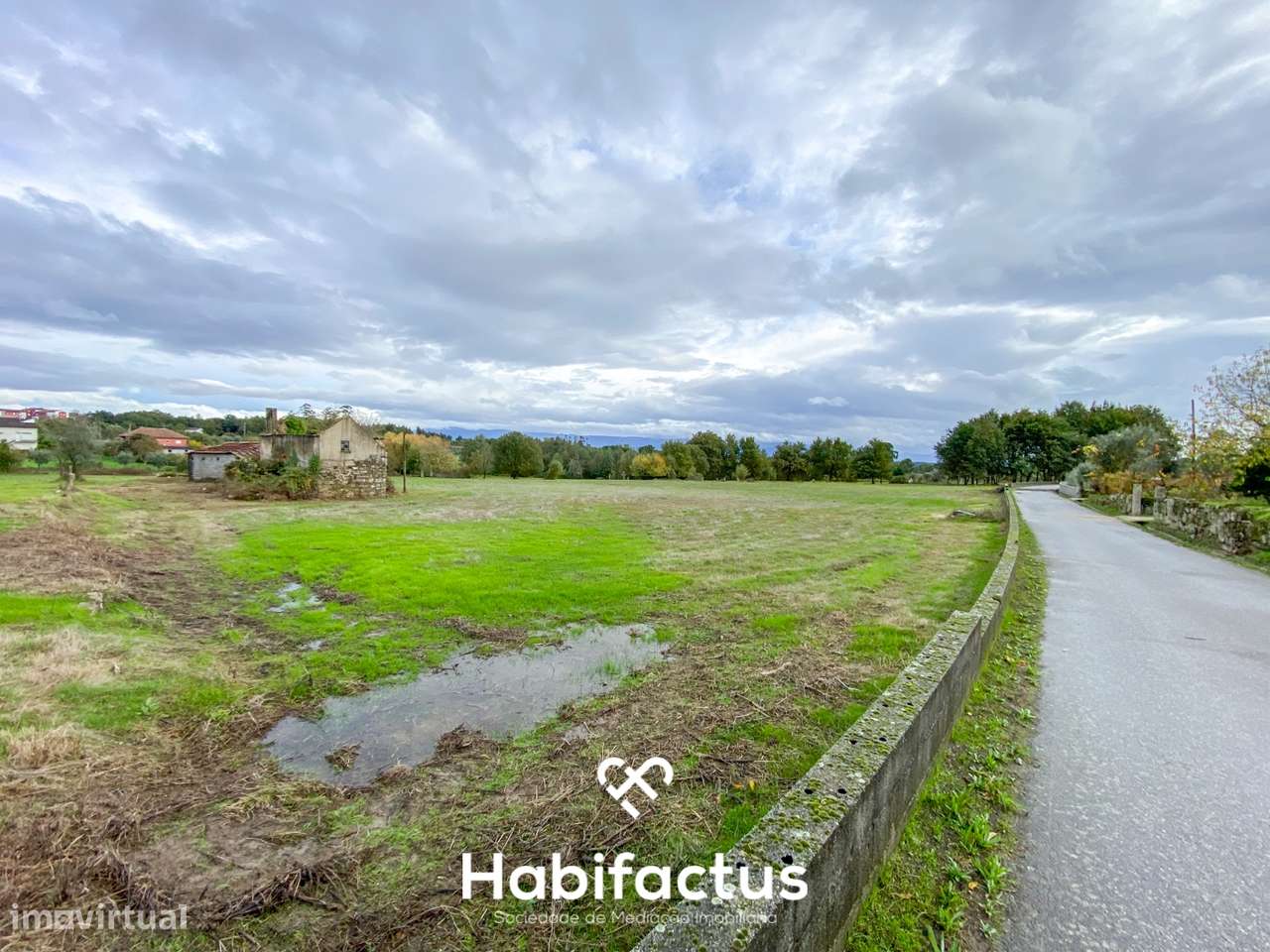 Quinta com 16.500 m² no centro de Mangualde – Oportunidade única! - Grande imagem: 4/6