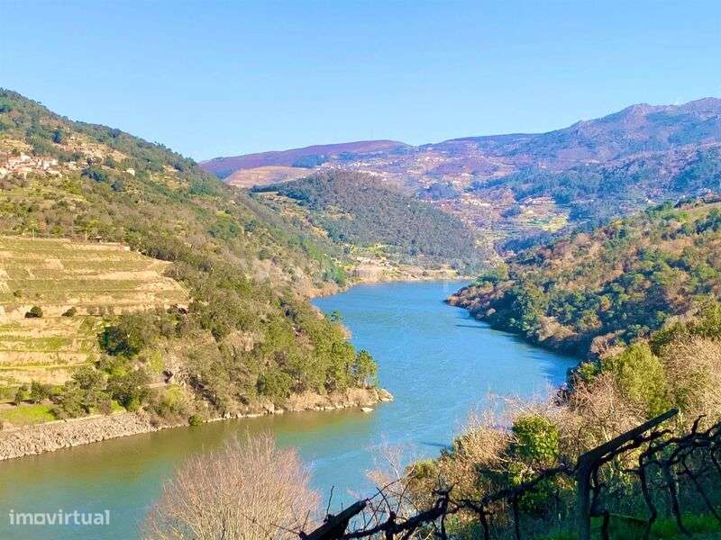 Terreno / Resende, Rio Douro - Grande imagem: 4/15