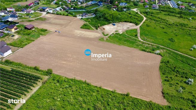 Loturi teren intravilan,Visan,apa,gaz,curent-2