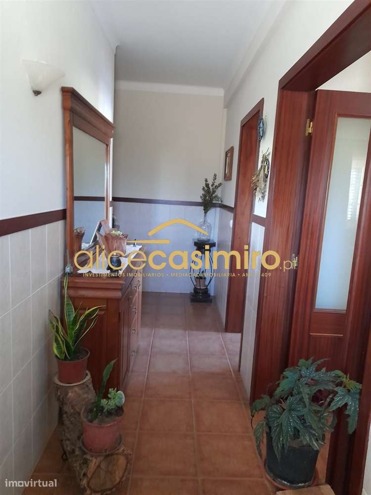 Quinta com moradia T3-11