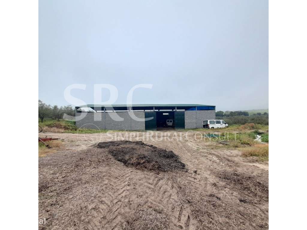 Herdade do olival das Barreiras-34