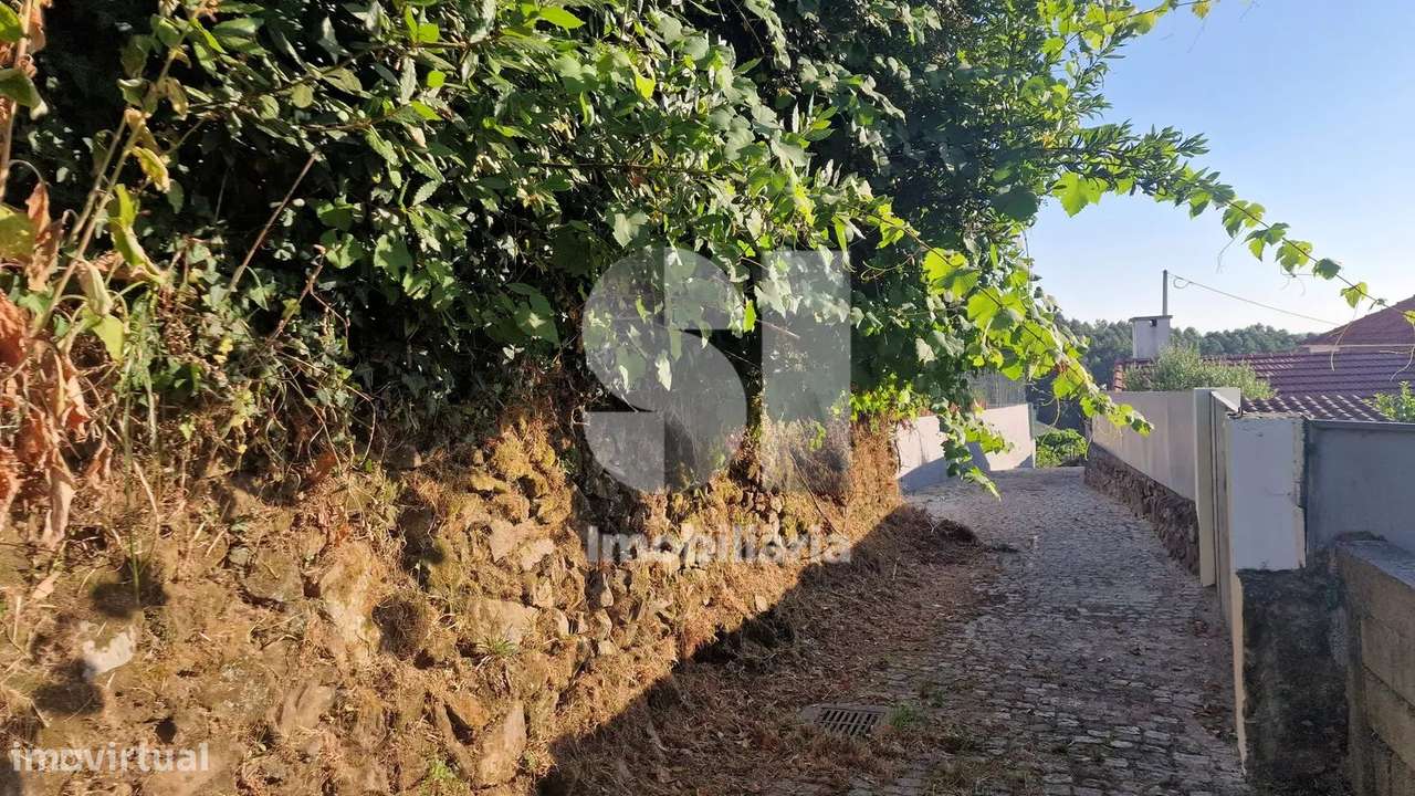 Terreno - potencial de investimento - Astromil - Paredes-11