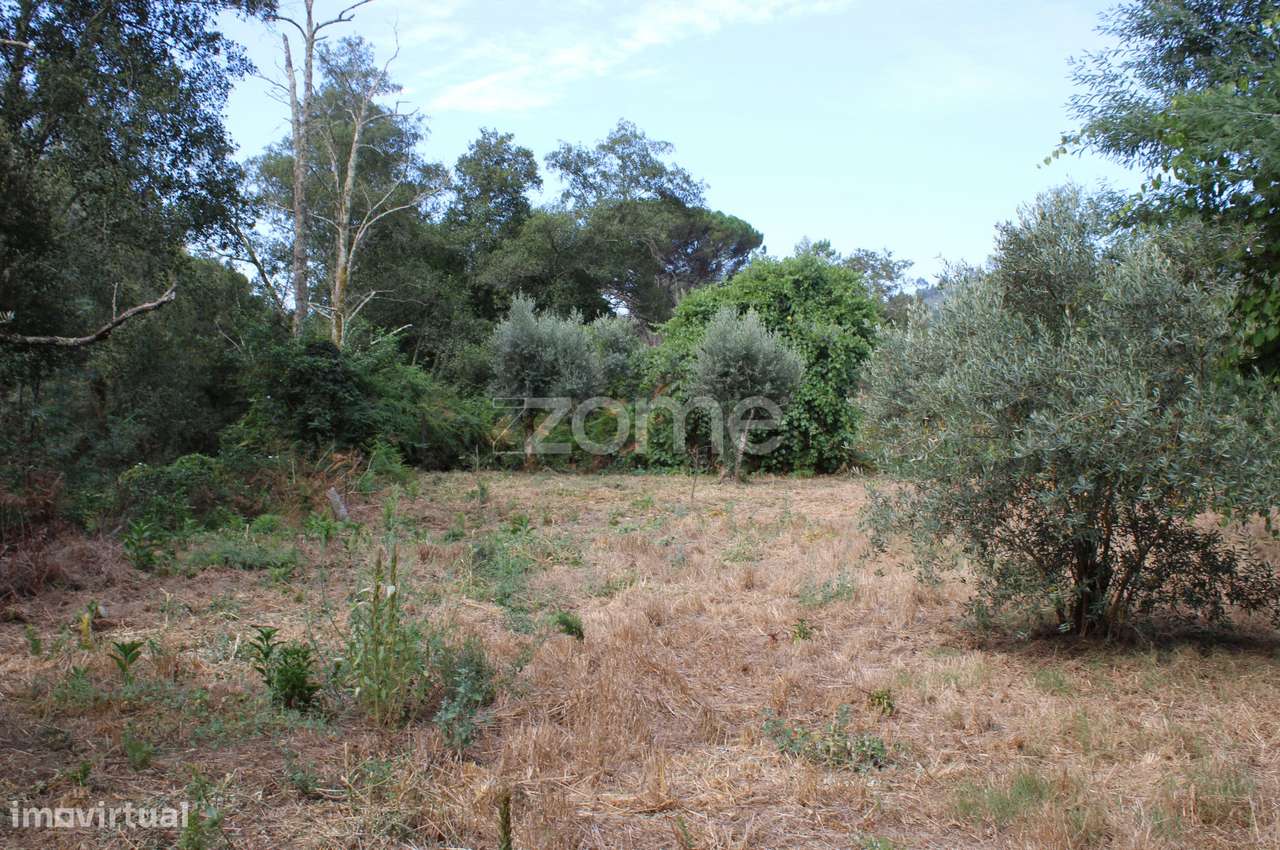 Um espaço de lazer ao lado do Rio - Grande imagem: 1/28