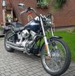 Harley-Davidson Softail Standard - 11