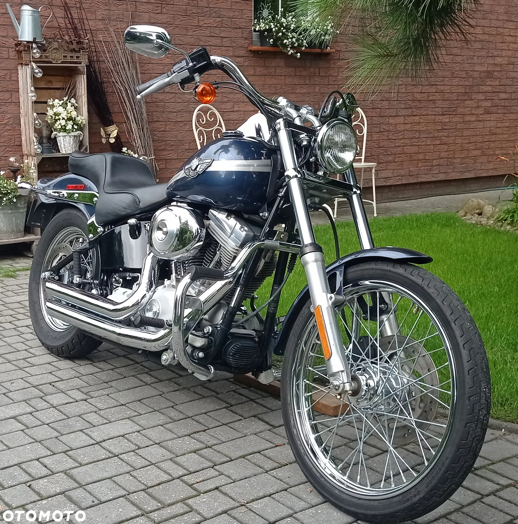 Harley-Davidson Softail Standard - 11