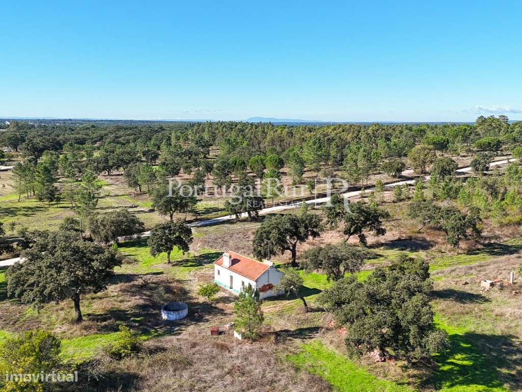 Quinta de 20ha com projeto para Turismo Rural a 1h de Lisboa-43