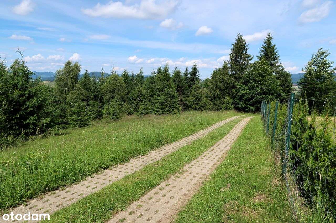 Działka rolna, 3400 m2, Jaworzynka - Pełny obrazek: 4/11