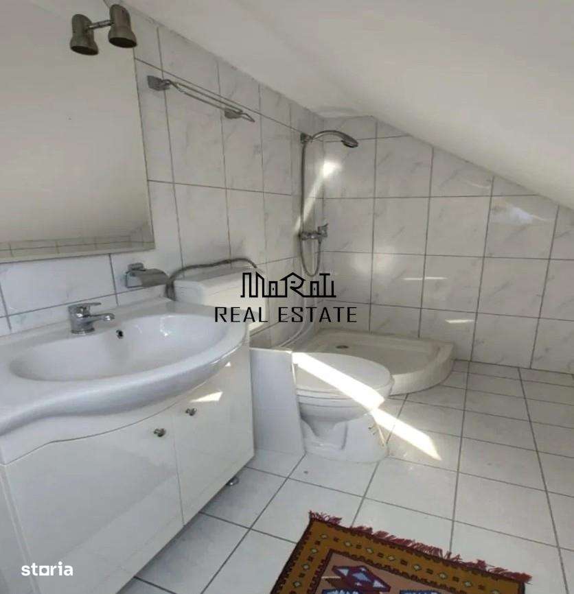 Casa P+M cu teren generos si loturi suplimentare in Baia de Cris-12