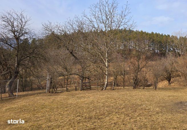 Teren 7 km de Piatra-Neamt pretabil pensiuni/ vile!!-4