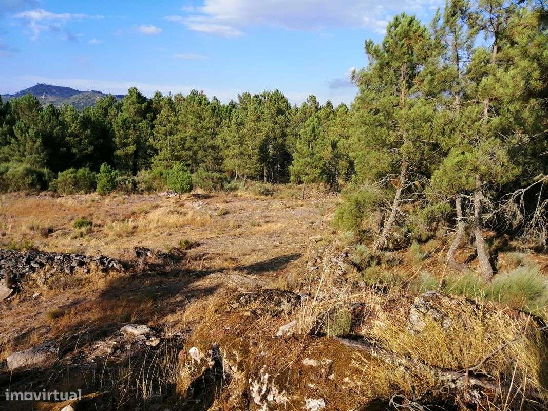 Terreno  para venda - Grande imagem: 4/9