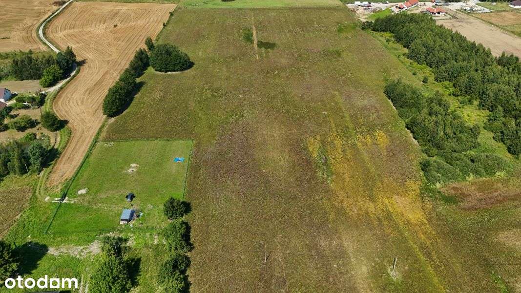 Działka w Gadach | 12 km do centrum Olsztyna! - Pełny obrazek: 4/6