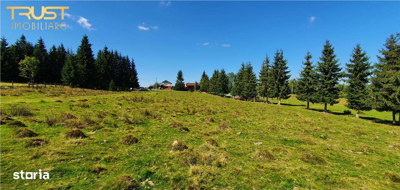 Oportunitare | Teren 1350 mp cu PUZ | Belis-6