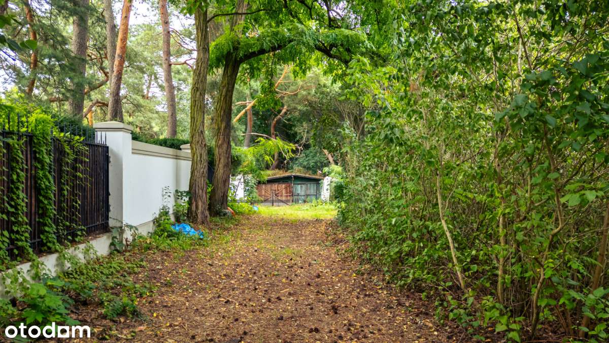 141188 - Pełny obrazek: 5/15