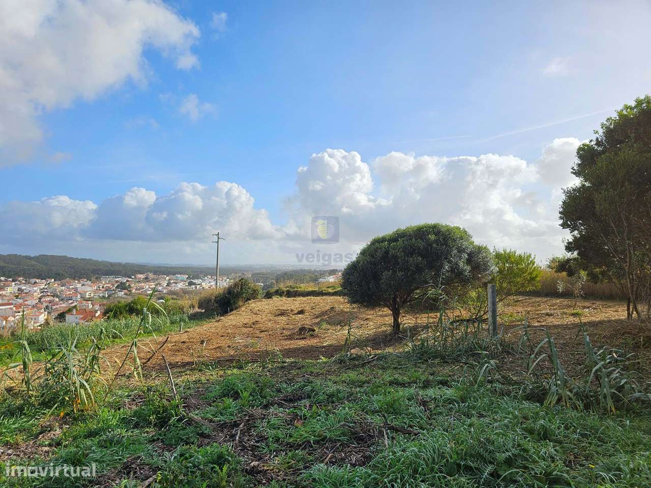 Terreno Exclusivo no Facho, Foz do Arelho – 1.700m2! - Grande imagem: 5/19