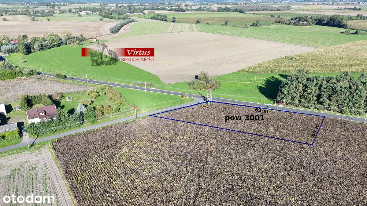 Działka budowlana w Berkowie gmina Kiszkowo - Pełny obrazek: 4/7