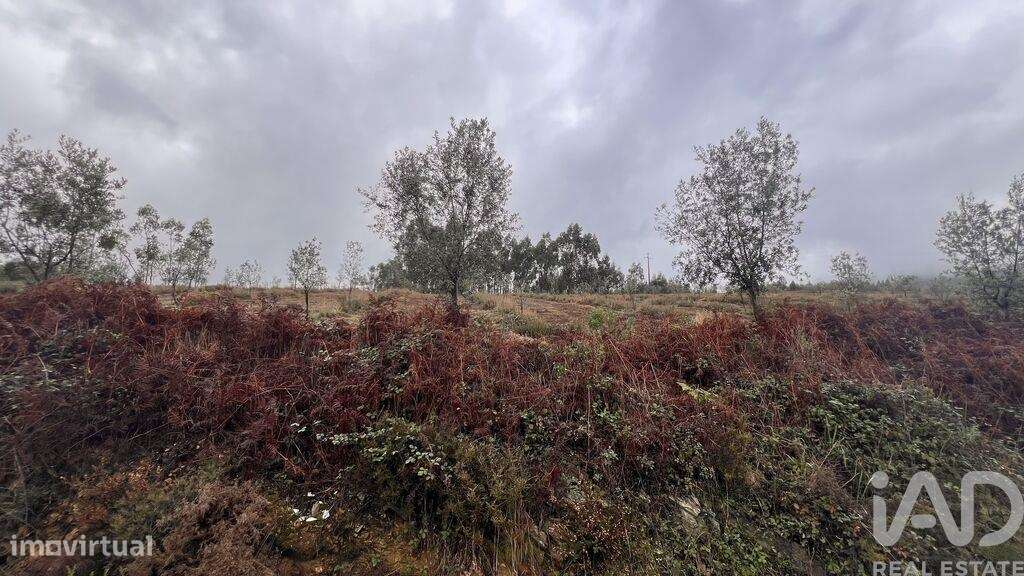 Terreno em Alvarenga de 500,00 m2 - Grande imagem: 5/26