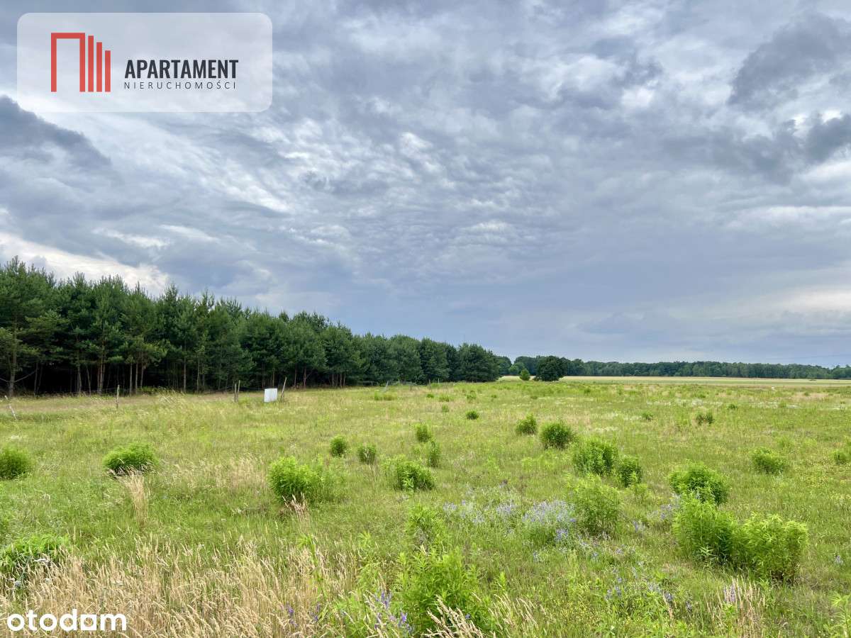 Szlakiem Napoleona! Działki Budowlane Brunów!MEDIA - Pełny obrazek: 4/7