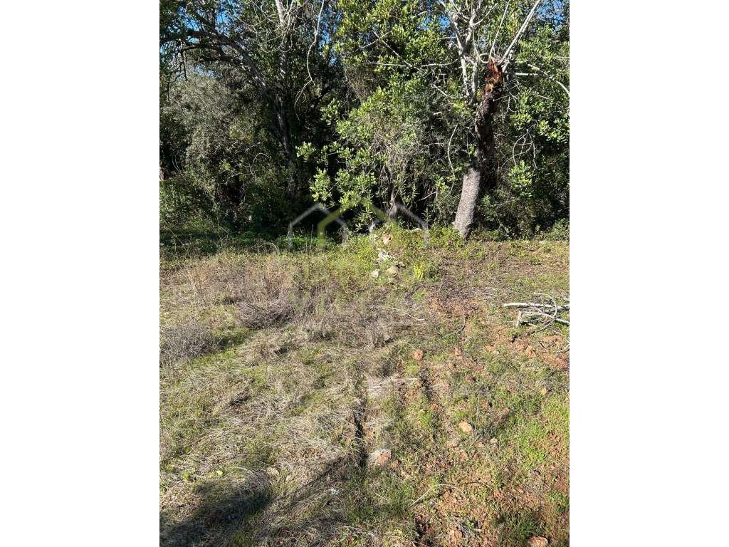 Terreno Rústico de 1ha em Querença, Loulé - Grande imagem: 2/3