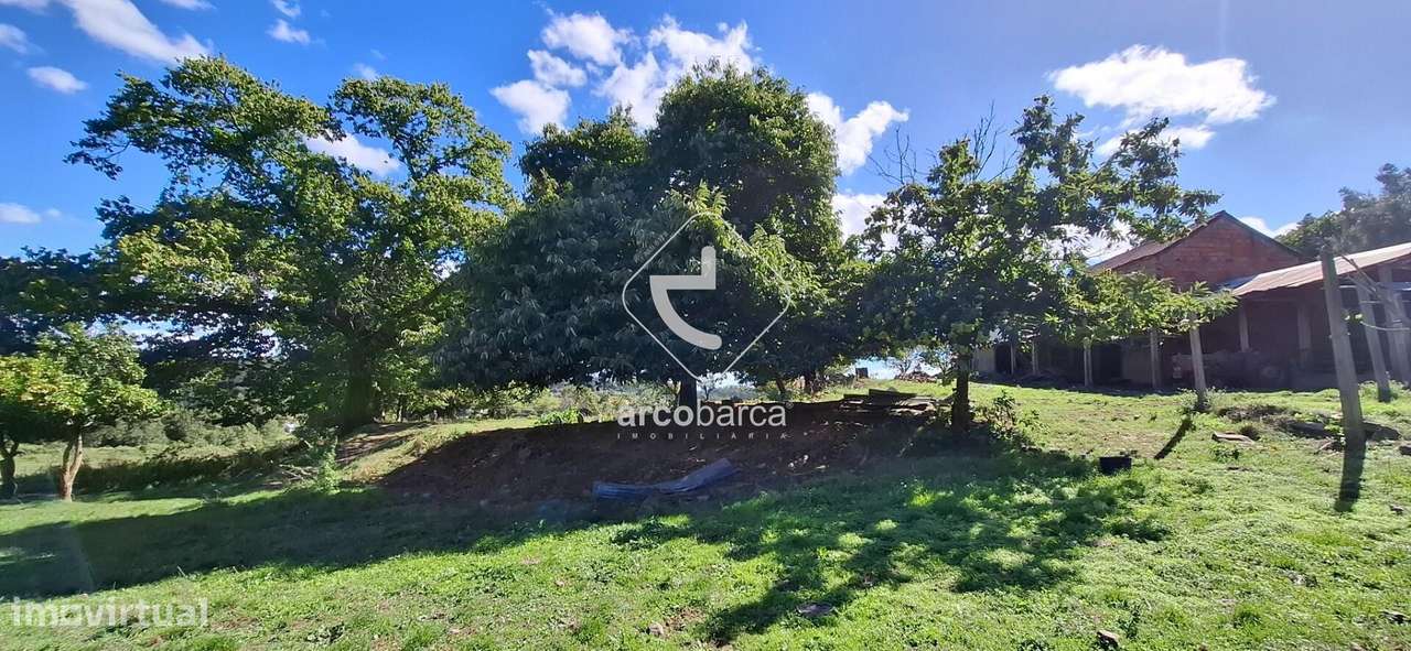 Quinta Agricola de 6Hect. c/casa T3 em Calvelo - Ponte de Lima-23